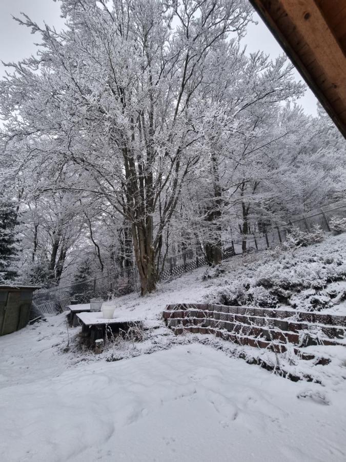 Ferienwohnung Schneeberg Stryck Luaran gambar